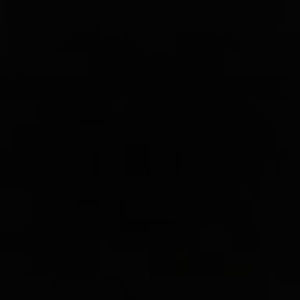 Meet your Posher, Shane